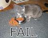 Click image for larger version

Name:	fail.jpg
Views:	184
Size:	64.0 KB
ID:	55193