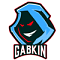 Gabkin's Avatar