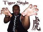 tiger style