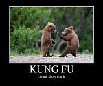 kung-fu bear